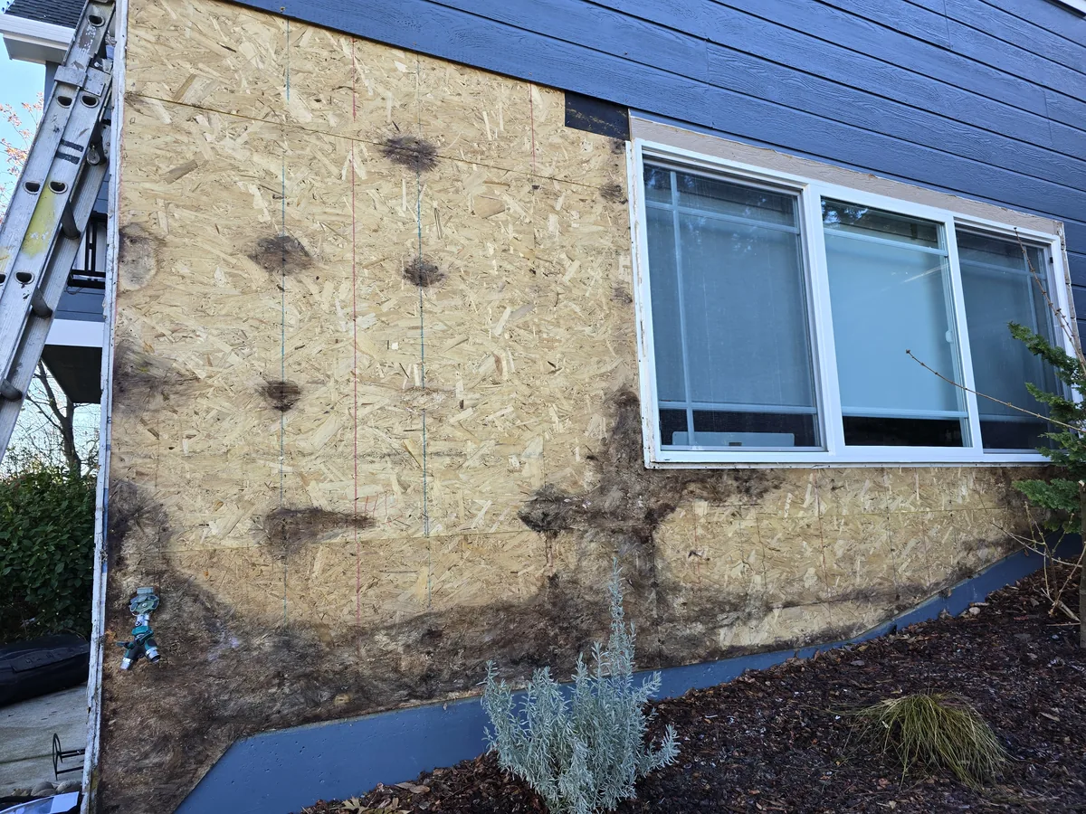 Before siding repair showing opened wall sheathing and removed siding
